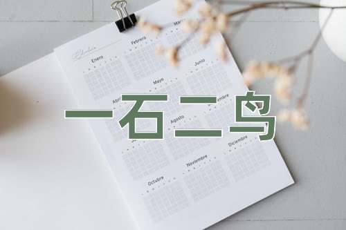 成语一石二鸟