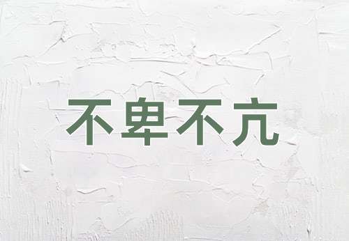 成语不卑不亢