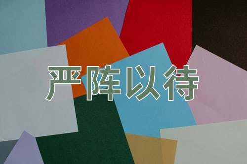 成语严阵以待