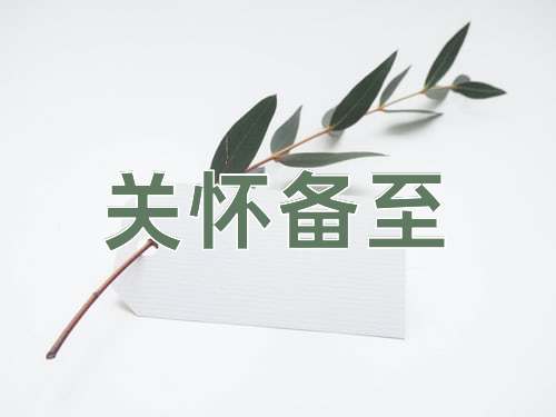 成语关怀备至