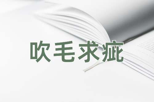 成语吹毛求疵