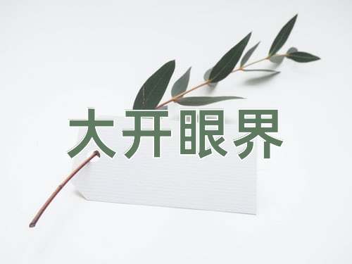 成语大开眼界