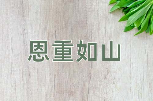 成语恩重如山
