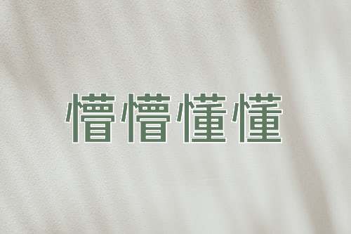 成语懵懵懂懂