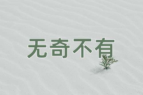 成语无奇不有
