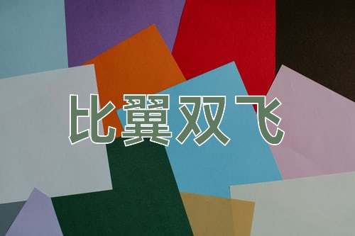 成语比翼双飞