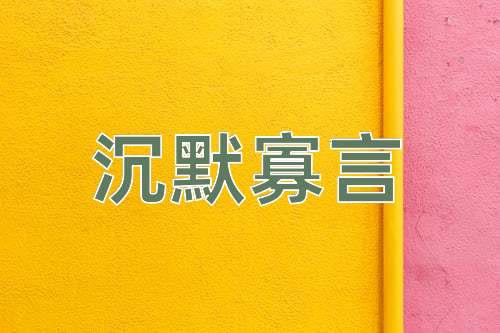 成语沉默寡言