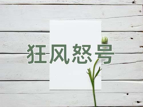 成语狂风怒号