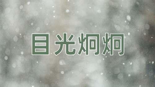 成语目光炯炯