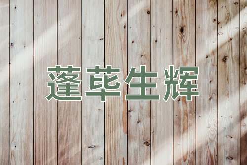 成语蓬荜生辉