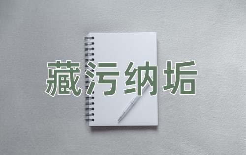 成语藏污纳垢