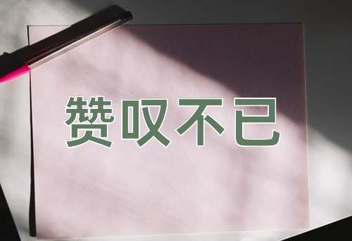 成语赞叹不已