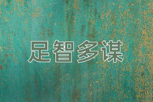 成语足智多谋