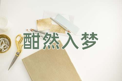 成语酣然入梦