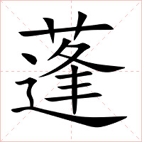 蓬