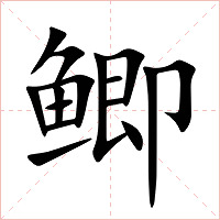 鲫