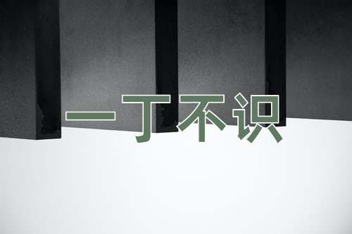 成语一丁不识