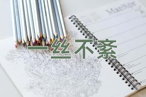 成语一丝不紊