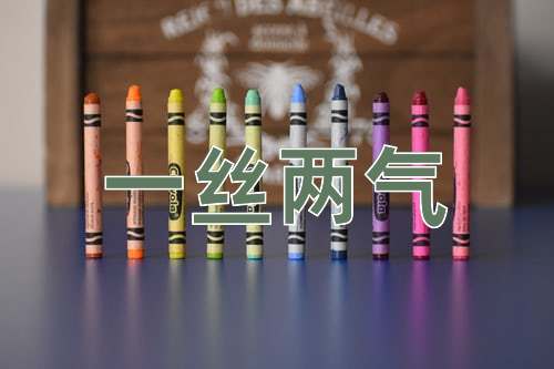成语一丝两气