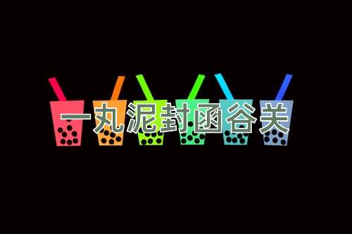 成语一丸泥封函谷关