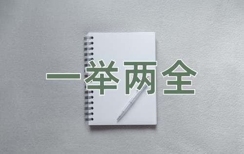 成语一举两全