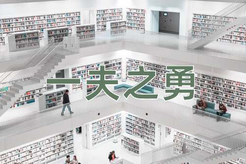 成语一夫之勇