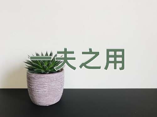成语一夫之用