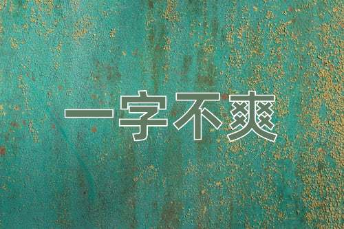 成语一字不爽