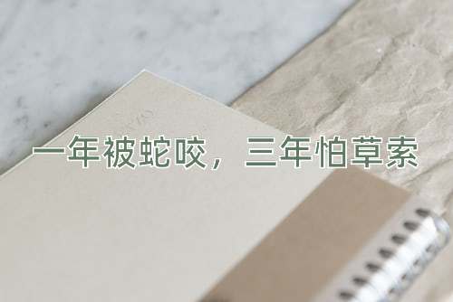 成语一年被蛇咬，三年怕草索