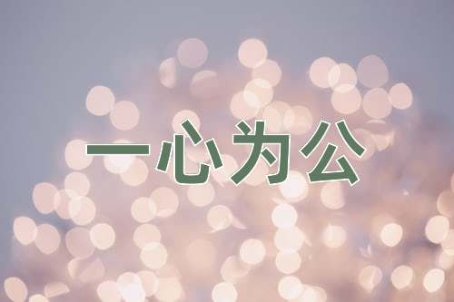 成语一心为公