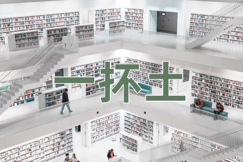 成语一抔土