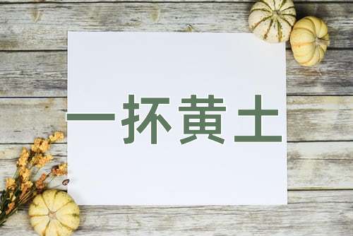 成语一抔黄土