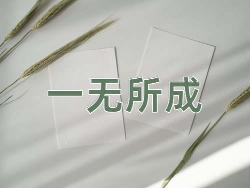 成语一无所成