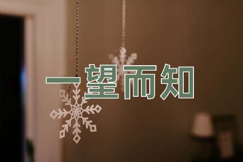 成语一望而知