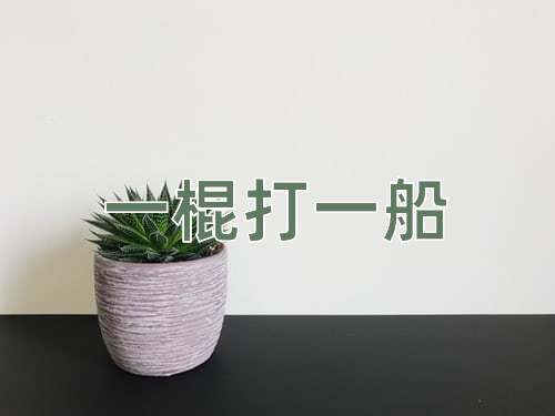 成语一棍打一船