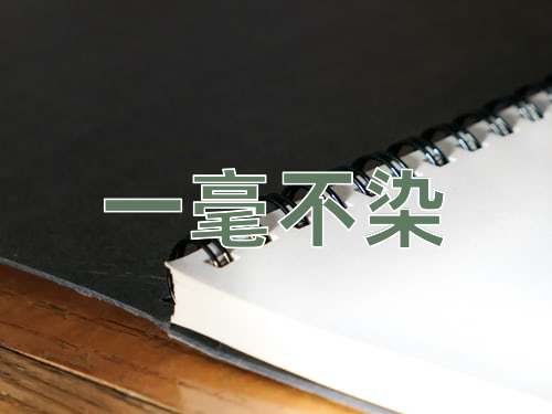 成语一毫不染