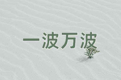 成语一波万波