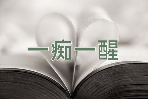 成语一痴一醒