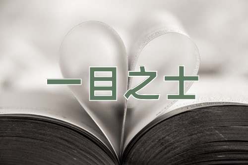 成语一目之士