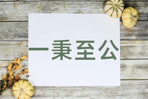 成语一秉至公