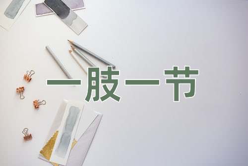 成语一肢一节
