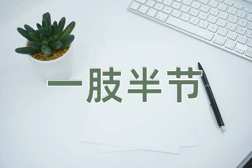 成语一肢半节