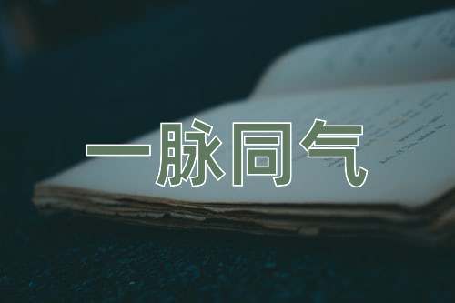 成语一脉同气
