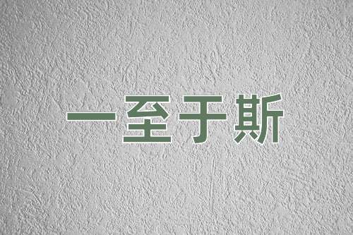 成语一至于斯