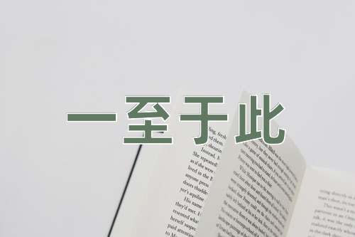 成语一至于此