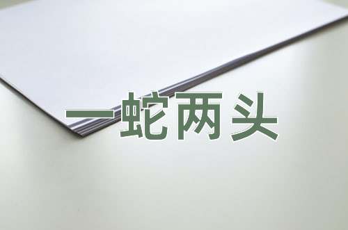 成语一蛇两头