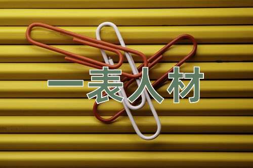 成语一表人材