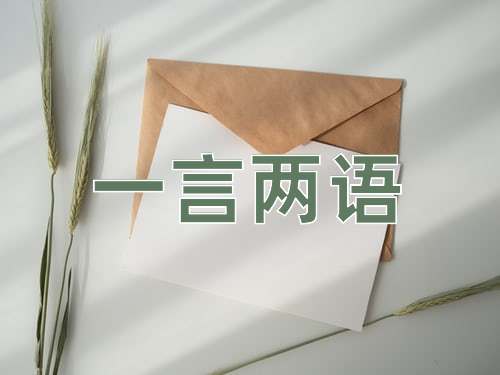成语一言两语