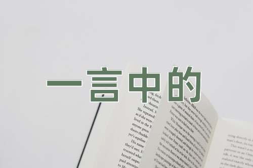 成语一言中的