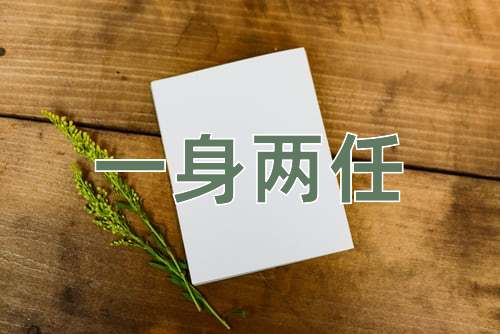 成语一身两任